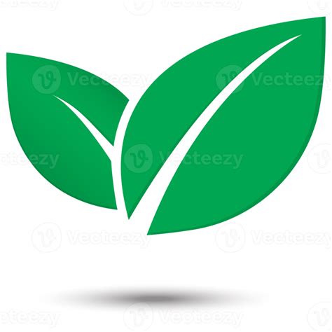 leaf icon png.